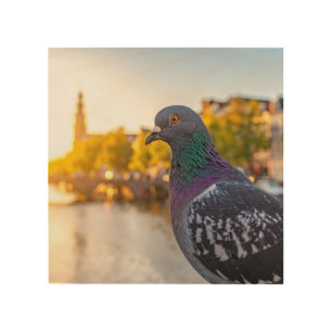 pidgeon wood wall art