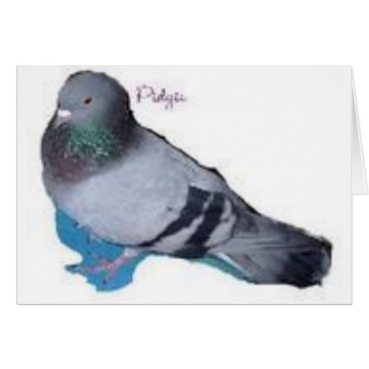 Pidgie The Pidgie Fund Pigeon Cards (Front Horizontal)