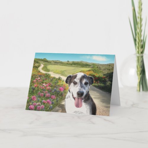 Pie in a Field of Dahlias Dog on path blank card Card