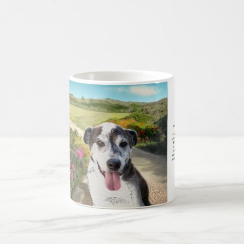 Pie in a Field of Dahlias Dog on Path mug Coffee Mug