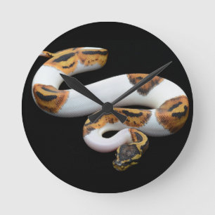 piebald ball python round clock