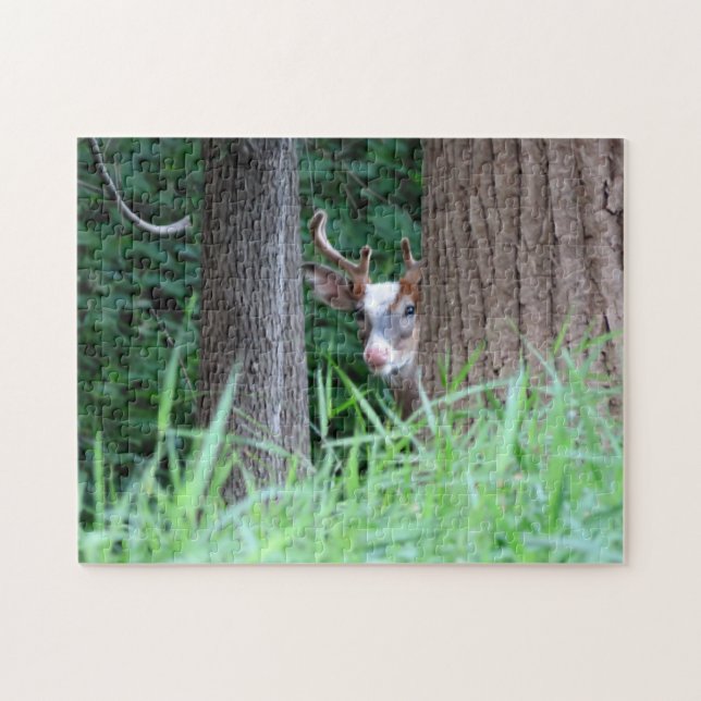 Piebald buck puzzle (Horizontal)