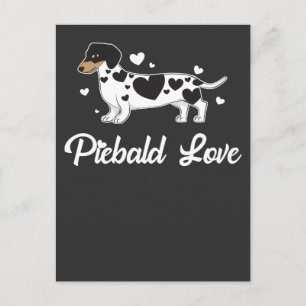 Piebald Dachshund Dog Owner Gift Postcard