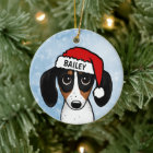 Piebald Dachshund Santa Wiener Dog Custom Name