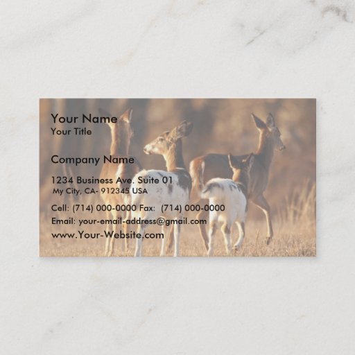 Customizable Piebald deer business cards
