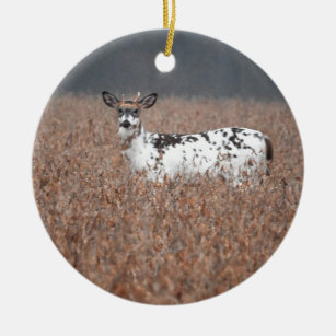 Piebald Deer Photo Ornament
