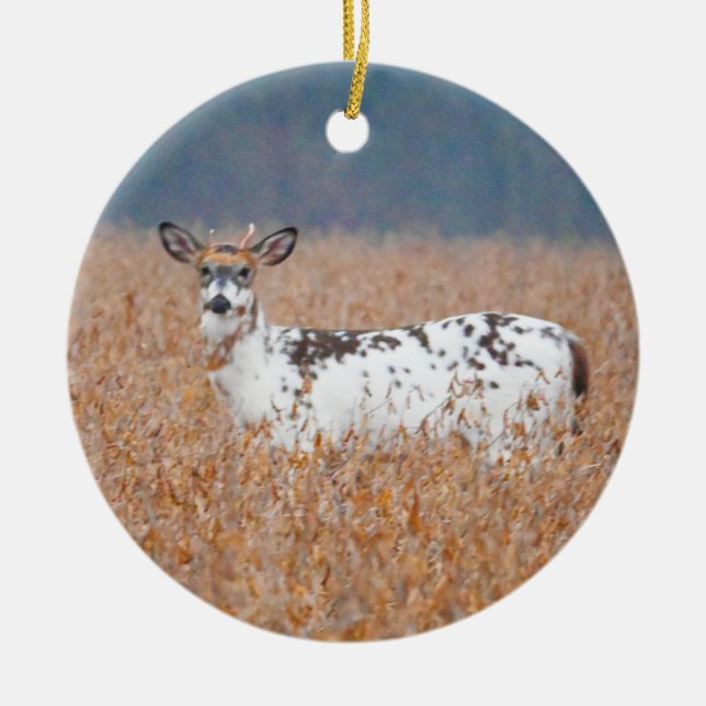 Piebald Deer Photo Ornament (Front)