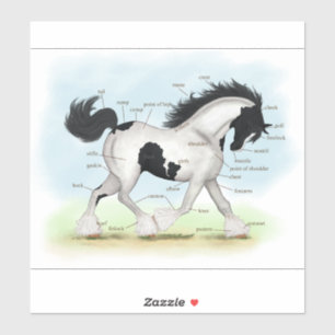 Piebald Gypsy Horse Equestrian Anatomy Chart Sticker