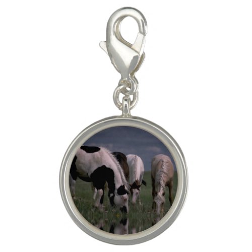 Piebald Horse Family Charm