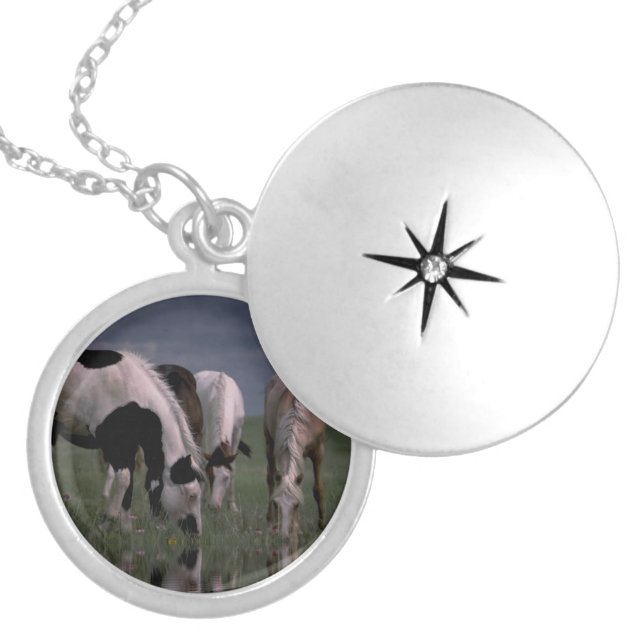 Piebald Horse Family, Locket Necklace (Front)