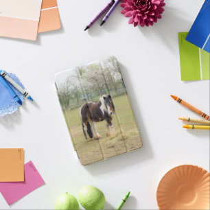 Piebald horse in the pasture iPad mini cover