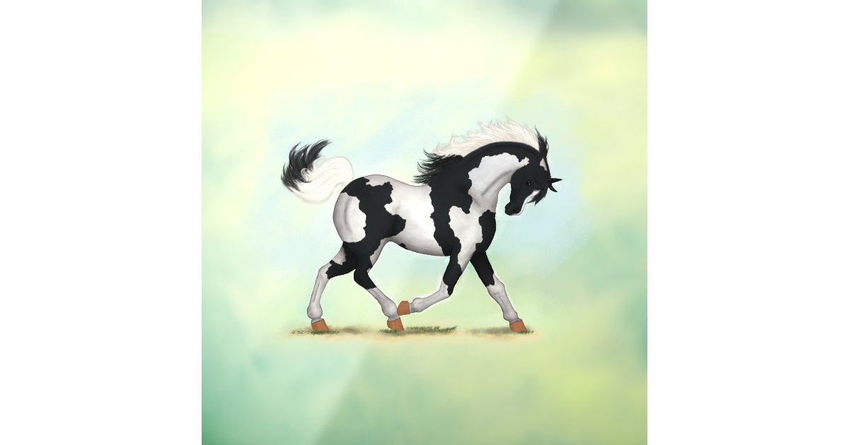 Piebald Overo Pinto Horse Decal Zazzle