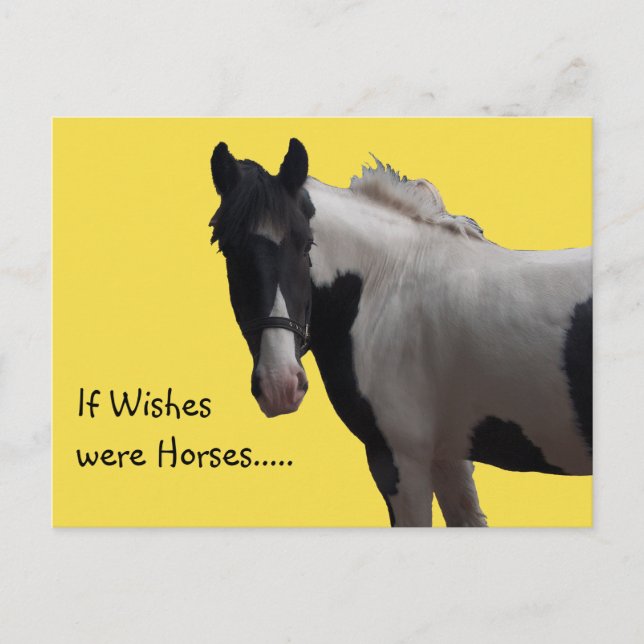 Piebald Paint Pony Wishes Yellow Photo Postcard (Front)