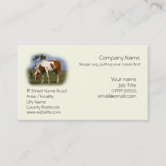 Piebald Pony quietly grazing Business Card