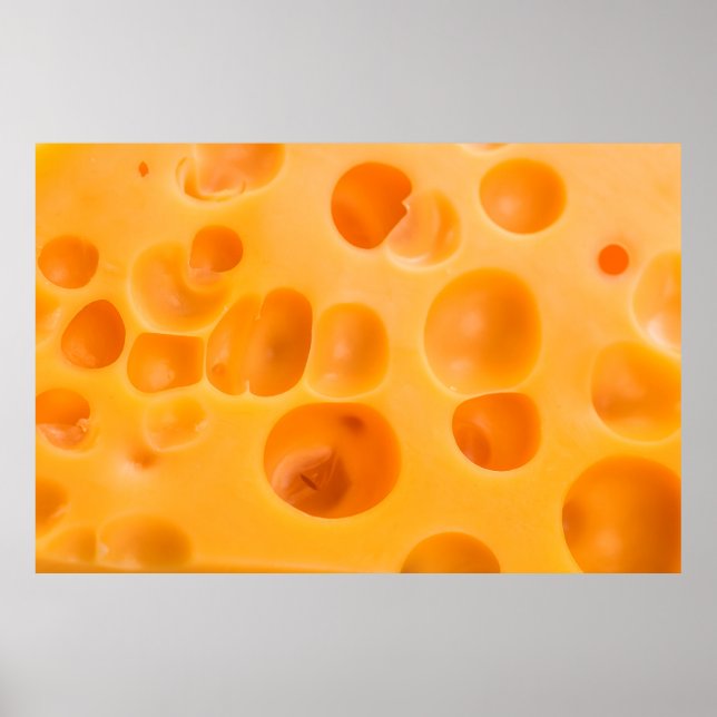 Piece of cheese isolated. poster (Front)