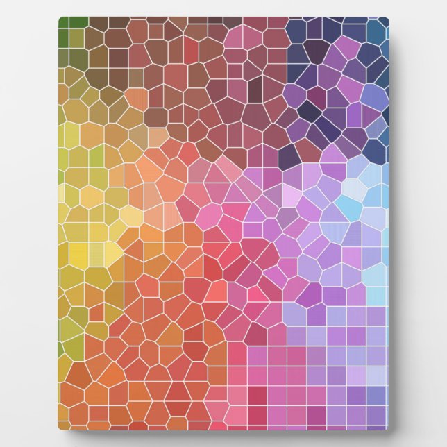 Pieces of Color Plaque (Front)