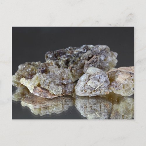 Pieces of natural frankincense resin on a mirror postcard