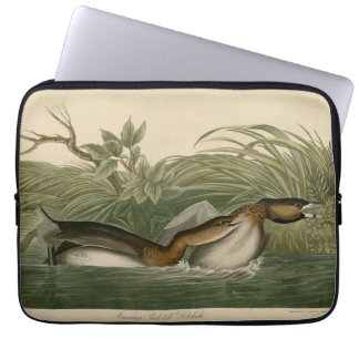 Pied-billed Grebe from Audubon's Birds of America Laptop Sleeve