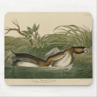 Pied-billed Grebe from Audubon's Birds of America Mouse Pad