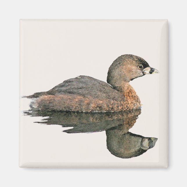 Pied-Billed Grebe Magnet (Front)