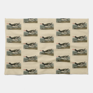 Pied oyster-catcher - Audubon's Birds of America Kitchen Towel