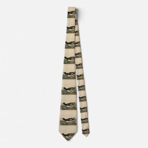 Pied oyster-catcher - Audubon's Birds of America Neck Tie