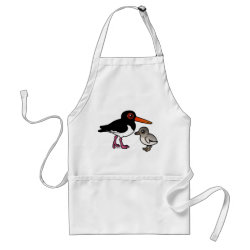Pied Oystercatcher with chick Apron