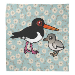 Pied Oystercatcher with chick Bandana