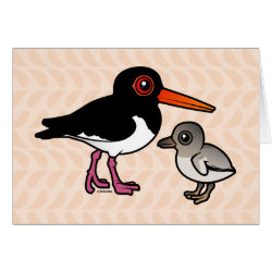 Pied Oystercatcher with chick Greeting Card