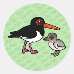 Pied Oystercatcher with chick Round Sticker