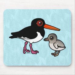 Pied Oystercatcher with chick Mousepad