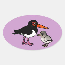 Pied Oystercatcher with chick Oval Sticker