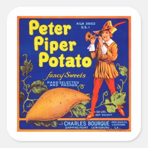 Pied Piper Potato Square Sticker