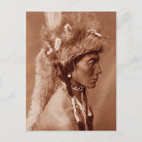 Piegan Blackfoot Native American Man Postcard