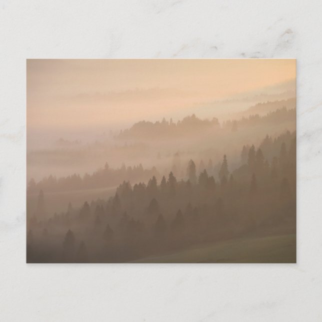 Pieniny sunrise postcard (Front)