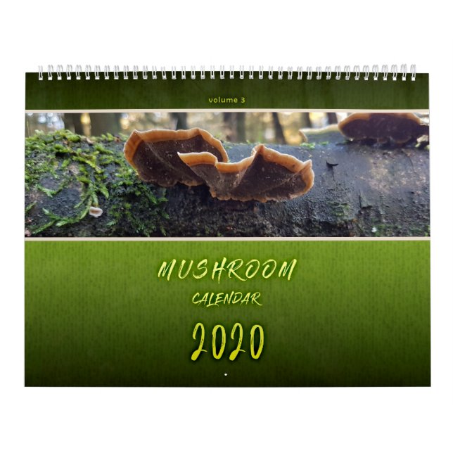 PIENPANO'S MUSHROOM PHOTOGRAPHS CALENDAR (Cover)
