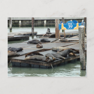 Pier 39 postcard