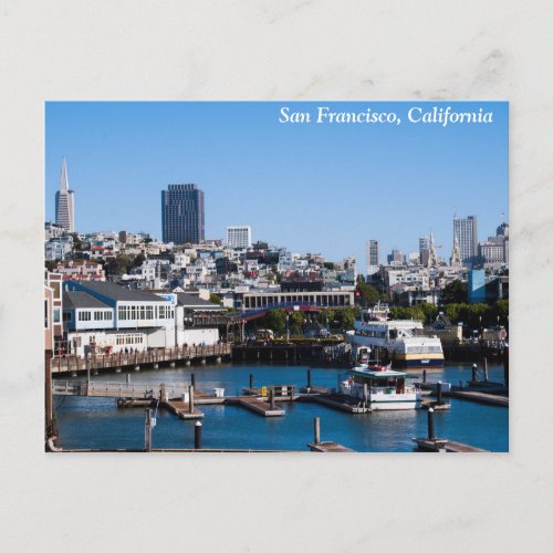 Pier 39 San Francisco California Postcard