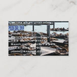 Pier 39 Sea Lions Business Card