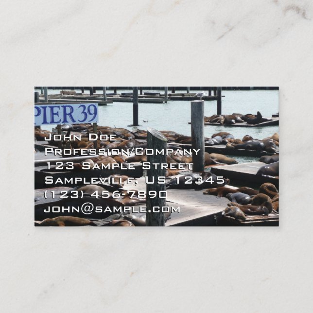 Pier 39 Sea Lions Business Card (Front)