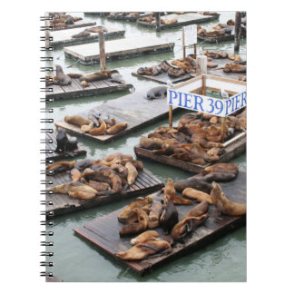 Pier 39 Sea Lions in San Francisco Notebook