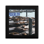 Pier 39 Sea Lions Jewelry Box