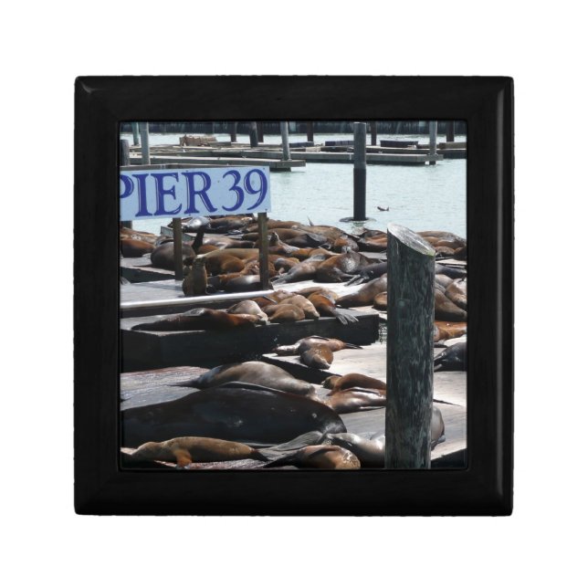 Pier 39 Sea Lions Jewelry Box (Front)