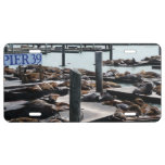 Pier 39 Sea Lions License Plate