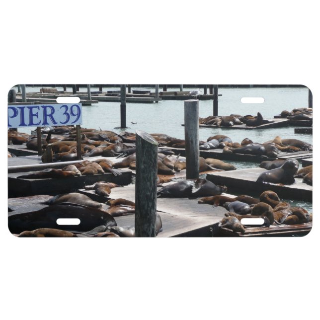 Pier 39 Sea Lions License Plate (Front)