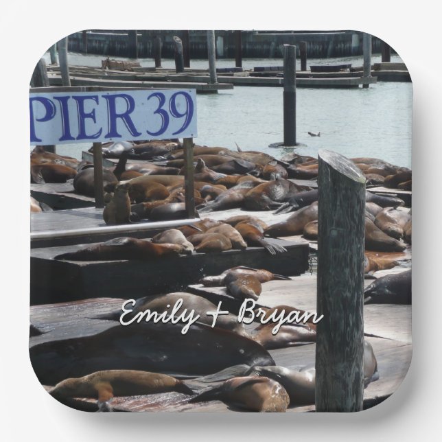 Pier 39 Sea Lions Paper Plates (Front)