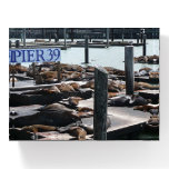 Pier 39 Sea Lions Paperweight