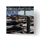 Pier 39 Sea Lions Pinback Button