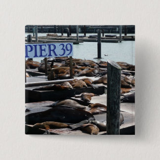 Pier 39 Sea Lions Pinback Button