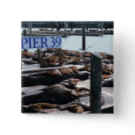 Pier 39 Sea Lions Pinback Button
